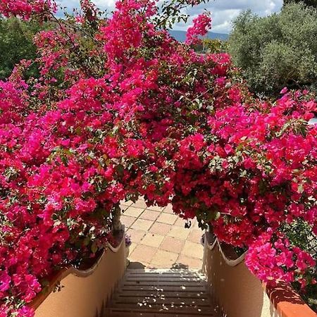 Casa Vacanze La Brii Iglesias Bagian luar foto