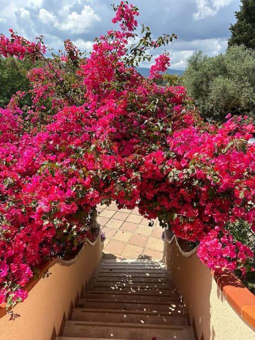 Casa Vacanze La Brii Iglesias Bagian luar foto