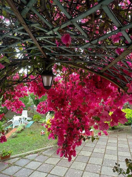 Casa Vacanze La Brii Iglesias Bagian luar foto